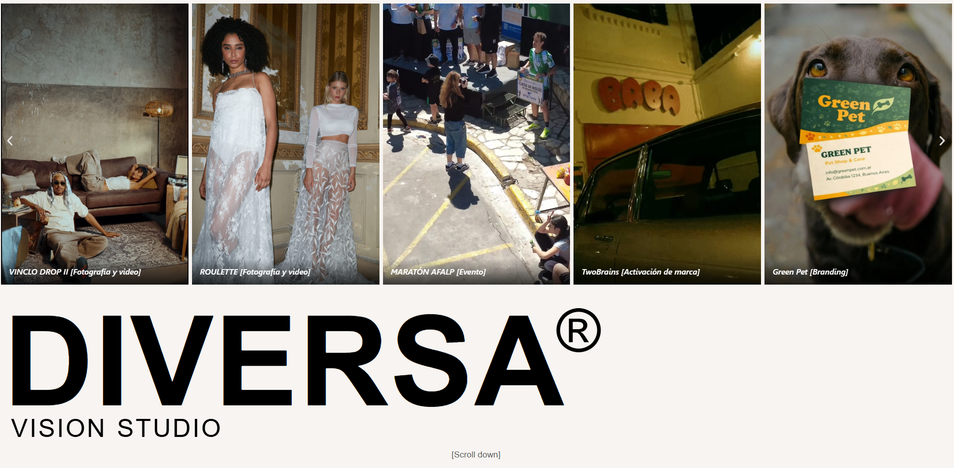 Diversa Studio preview